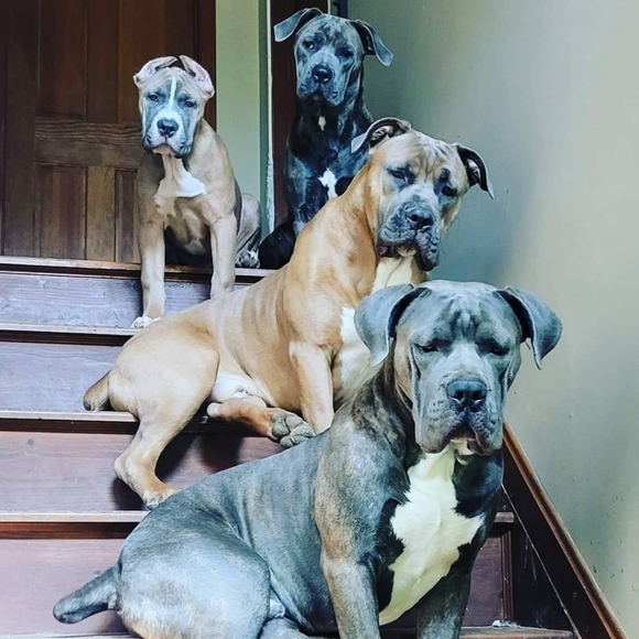 Meet your Posher, Liz - Picture 3 of 7